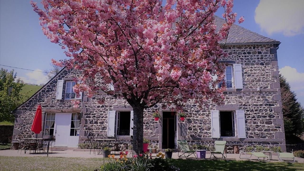 Maison D'Hotes La Nichee Rochefort-Montagne Exterior foto